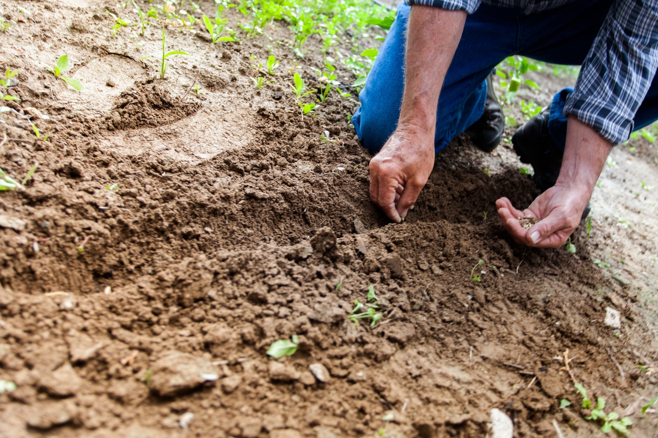 How to make Soil better for Gardening